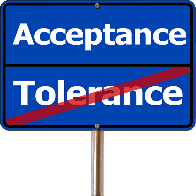 Tolerance is a characteristics of an entrepreneur