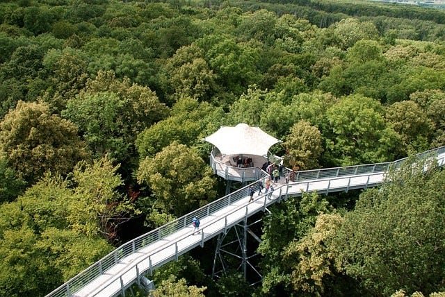 Canopy walkway at the kakum national forest