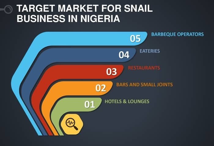 Snail farm business in Nigeria market distribution