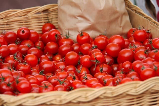 Profitable tomato business in Africa