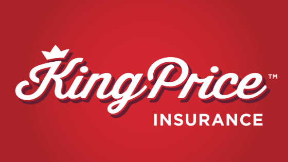 King Price Top 5 Insurers in South Africa