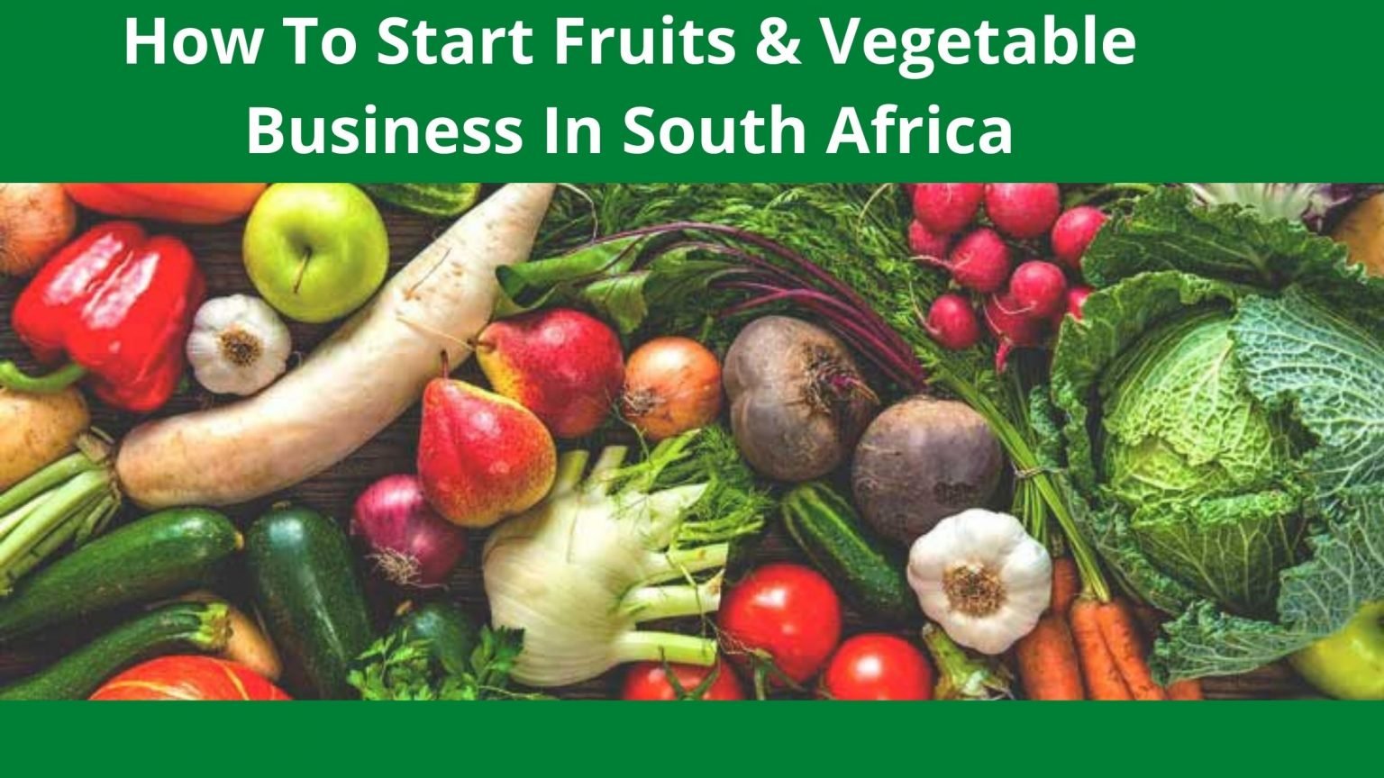 vegetables business plan pdf south africa