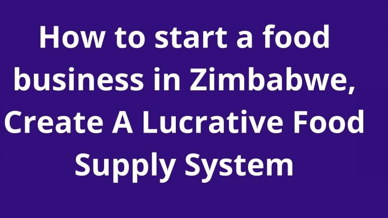 how-to-start-a-food-business-in-zimbabwe-create-a-lucrative-food